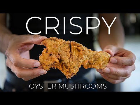 Crispy Fried Oyster Mushrooms